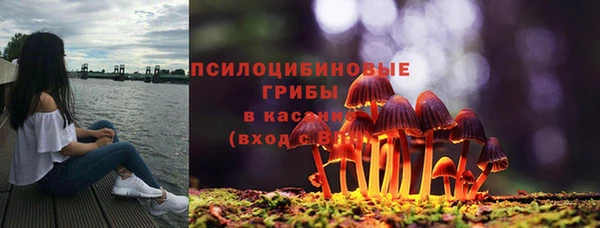 мескалин Арсеньев